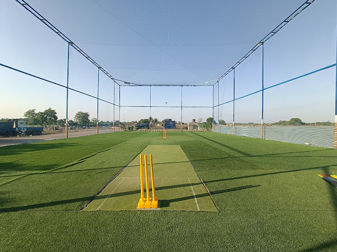 Free Hit Box Cricket